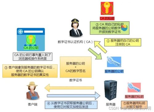 数字内容制作服务 HTTP协议下的技术基石与应用实践